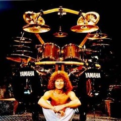 tommy aldridge